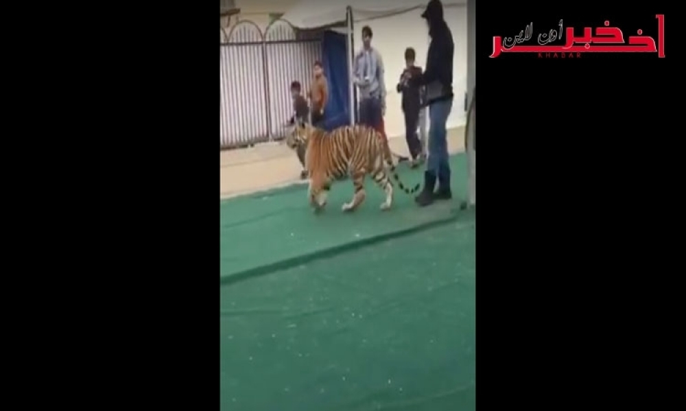 بالفيديو/ نمر يهاجم طفلة الست سنوات ووالدها يتحدث عن الحادثة