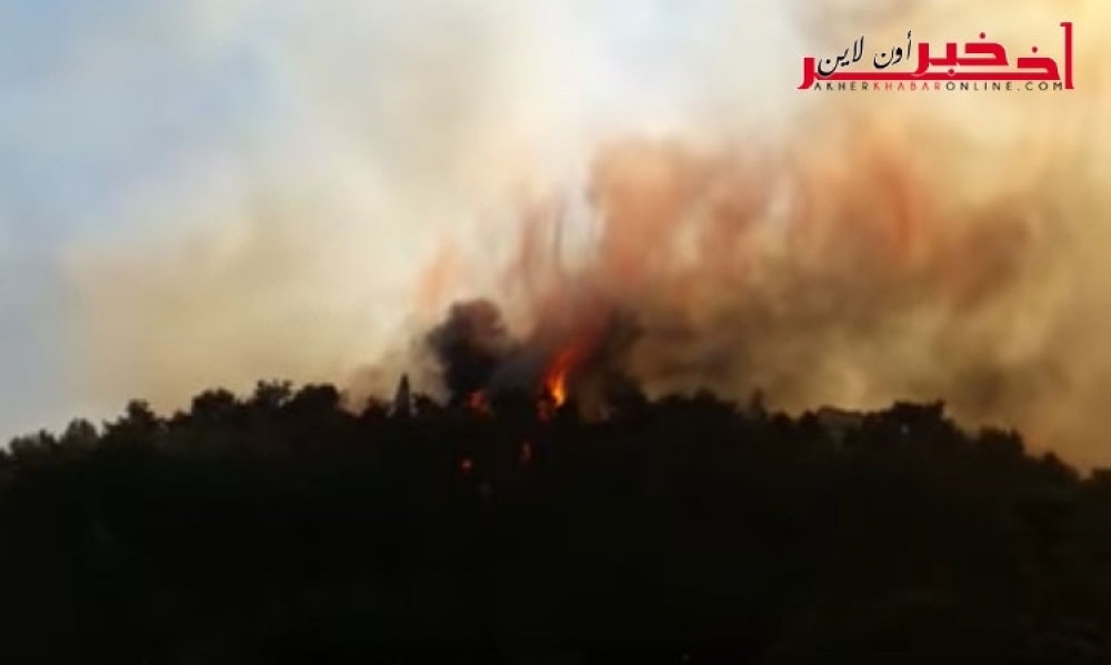  صور وفيديو -النيران تصل إلى 17 مستوطنة ومدينة
