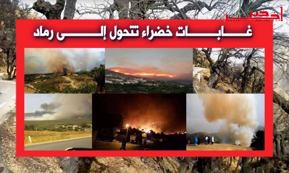 الجزائر أيضا ، الحرائق تأتي على الأخضر واليابس في العديد من الولايات