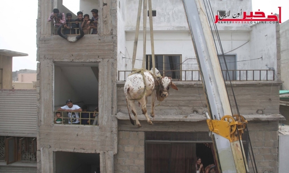 صور/  يستعين برافعة لإنزال أضاحي العيد من سطح منزله