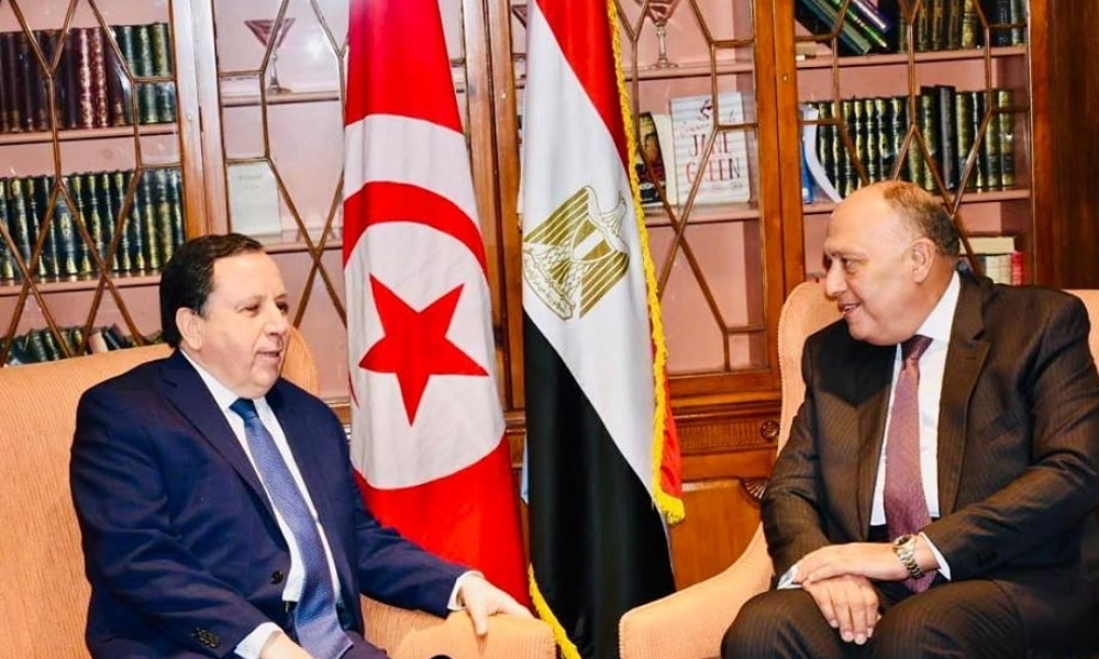 في جلسة تم خلالها استدعاء السيسي للقمة العربية : تونس ومصر تبحثان تطورات الأوضاع في ليبيا وسوريا