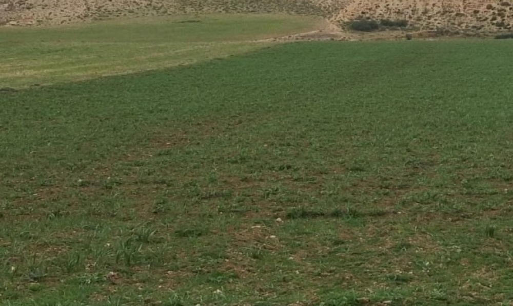 منوبة / إسترجاع عقّارٍ دولي يمسح حوالي 15000 م²