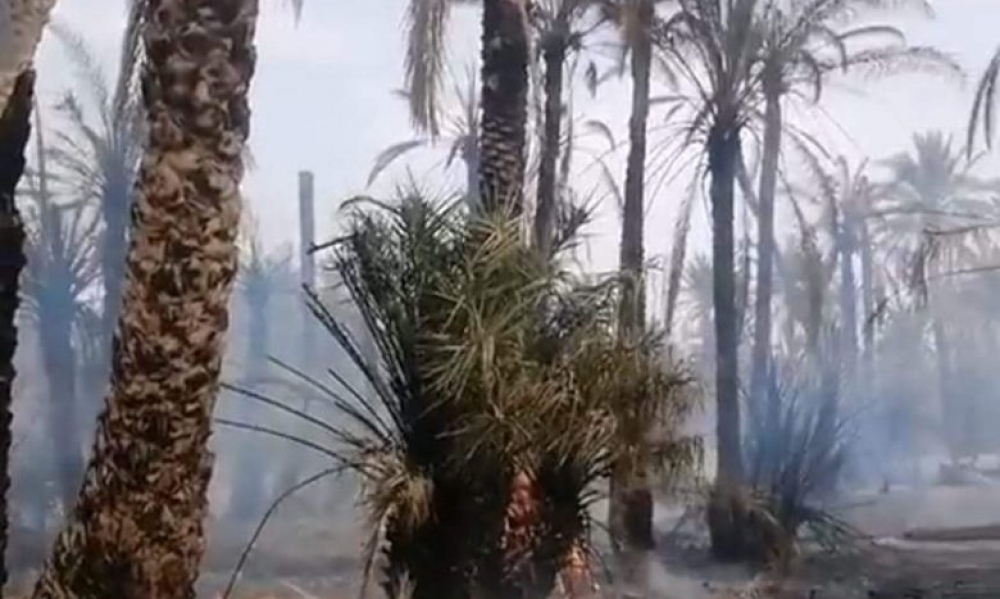 حريق "غابة جر الغنانشة" بالحامة : فتح بحث من أجل إضرام النار عمداً