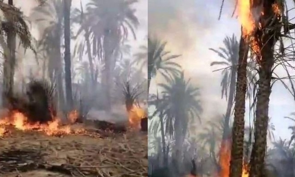الحامة : تواصل محاولة اخماد حريق شب بواحة الدبدابة اتى على حوالي 700 نخلة ومساحة تقدر بـ10 هكتارات 