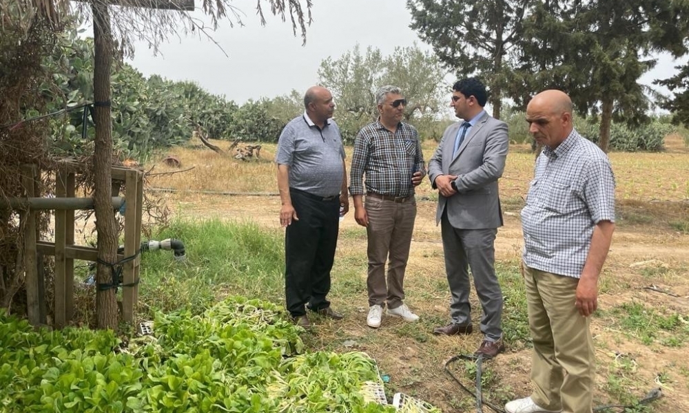 المدير العام للوكالة الوطنية للتبغ و الوقيد يعاين ضيعة مخصصة لغراسة التبغ  بولاية سوسة 