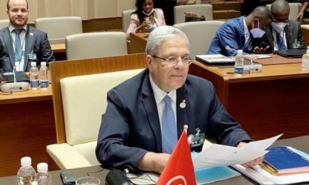 الجرندي:  "لا خيار للدول الإفريقية غيرَ النظام الديمقراطي الضامن للحقوق والحريات"