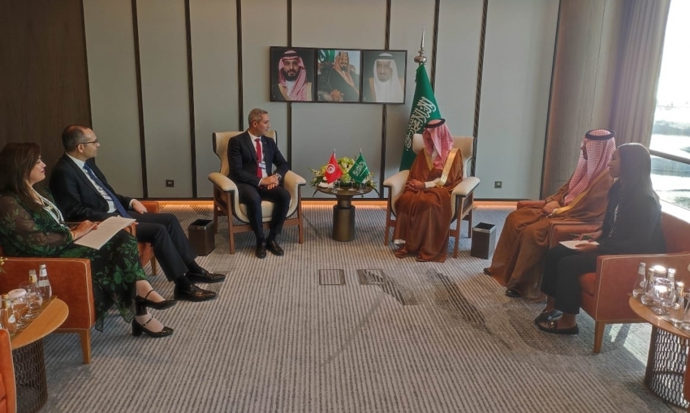 وزير السياحة يتفق مع نظيره السعودي على تنمية الاستثمار المشترك في مختلف المنتوجات السياحية بتونس